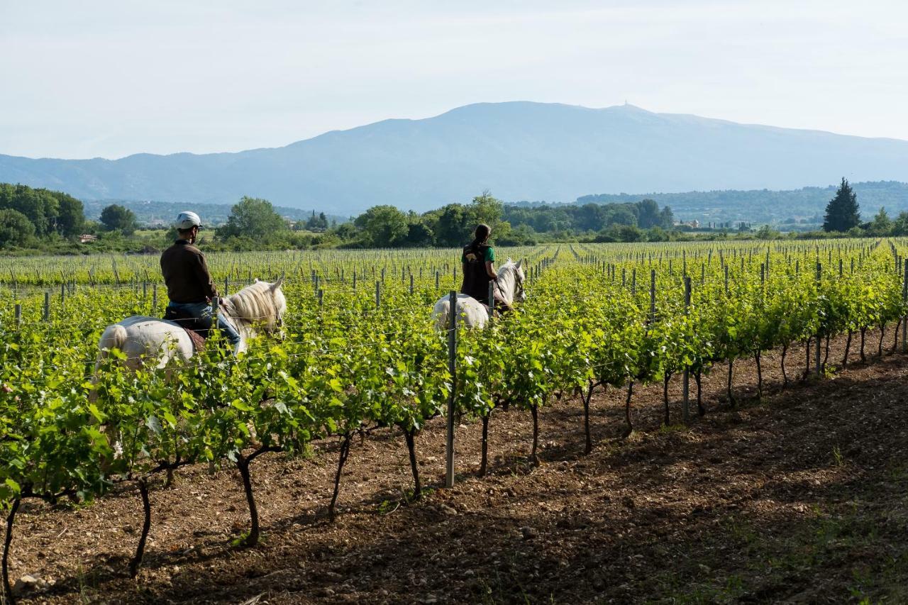 Chateau La Croix Des Pins Mazan Luaran gambar